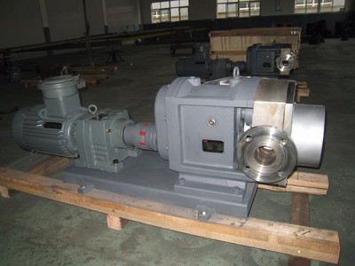 普利施65PLST6-10 日用化工轉(zhuǎn)子泵,甘油、化妝品料漿輸送泵 價格優(yōu)惠歡迎咨詢圖片_高清圖_細節(jié)圖-江蘇普利施泵業(yè) -